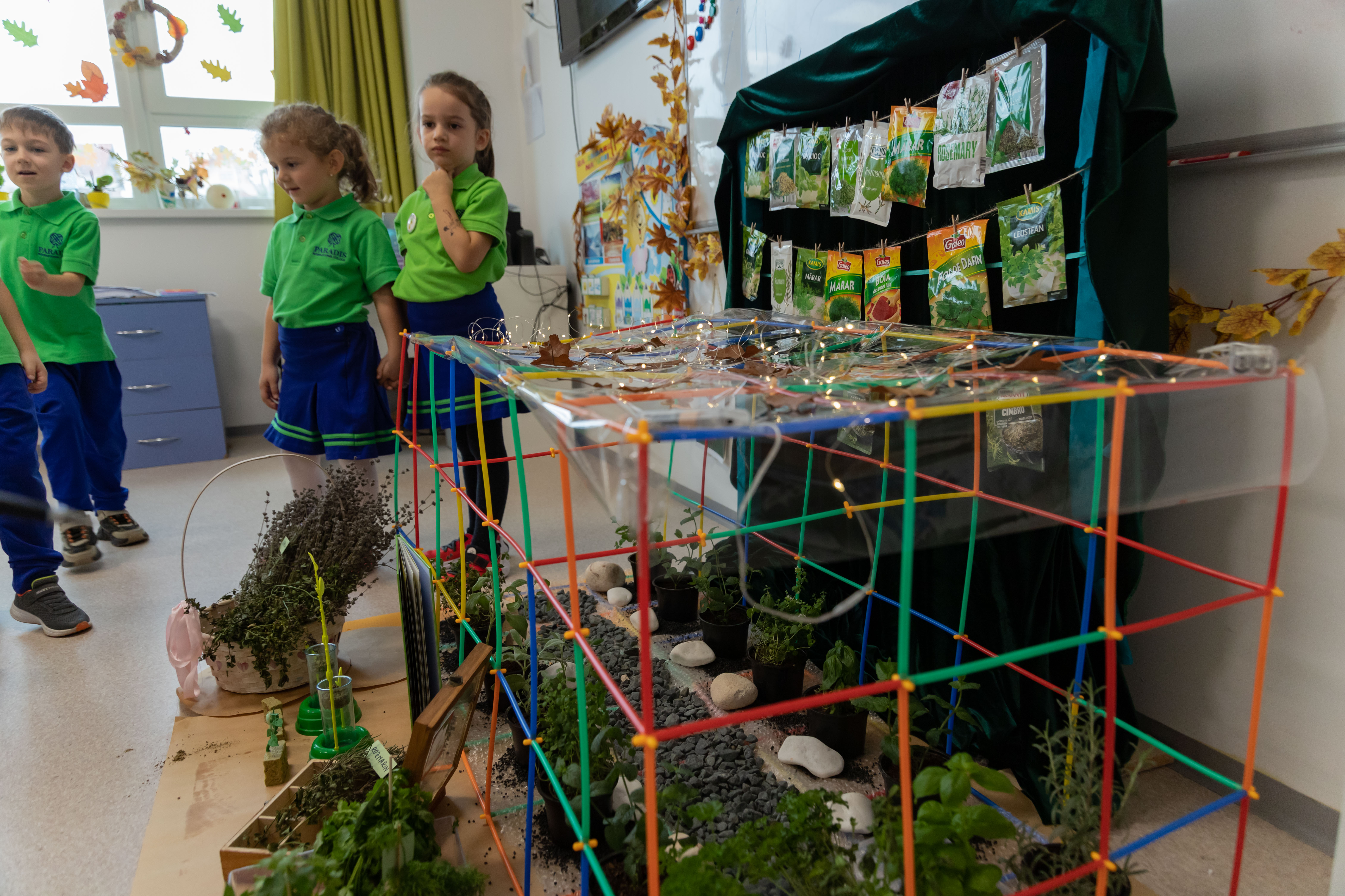 Science festival presentation